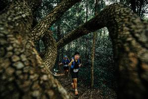 BIB: 
                            <button type="button" onclick="openModal(25671269)" class="btn btn-primary btn-sm float-right btn-popup" data-toggle="modal" data-target=".modal-high-quality">
                        <i class="fas fa-shopping-cart"></i> Add to Cart
                    </button>
                                            <button type="button" onclick="isThisMe(25671269, true)" class="btn btn-success btn-sm float-right btn-popup btn-isme hidden" data-toggle="tooltip" data-placement="bottom" title="นี่คือรูปของคุณใช่ไหม คลิกที่นี่เพื่อเอาเข้าอัลบั้ม">
                        <i class="fas fa-plus"></i> Add to album
                    </button>
                    <button type="button" onclick="isThisMe(25671269, false)" class="btn btn-warning btn-sm float-right btn-popup btn-isnotme hidden">
                        <i class="fas fa-ban"></i> Remove from album
                    </button>